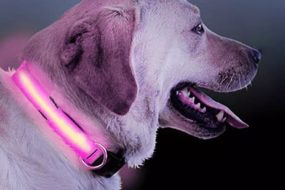 Svjetleca LED ogrlica za pse:macke