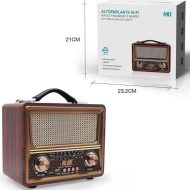 Prijenosni retro radio s ugradenim zvucnikom_0006