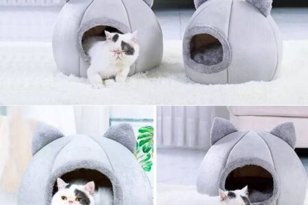 Kućica za ljubimce zanimljivog dizajna