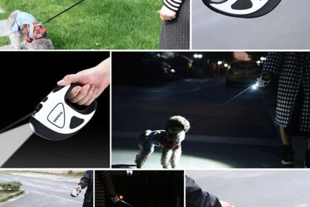 Savršen povodac za svakodnevne šetnje