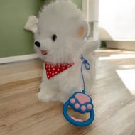 Interaktivni pas – robot igracka (1)